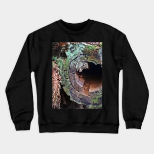 Deception Pass Hollow Log Crewneck Sweatshirt